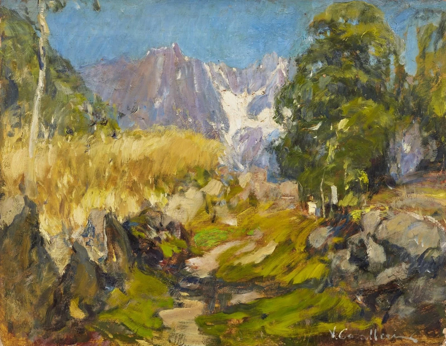 Paesaggio montano